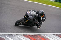 Middle Group Black Bikes